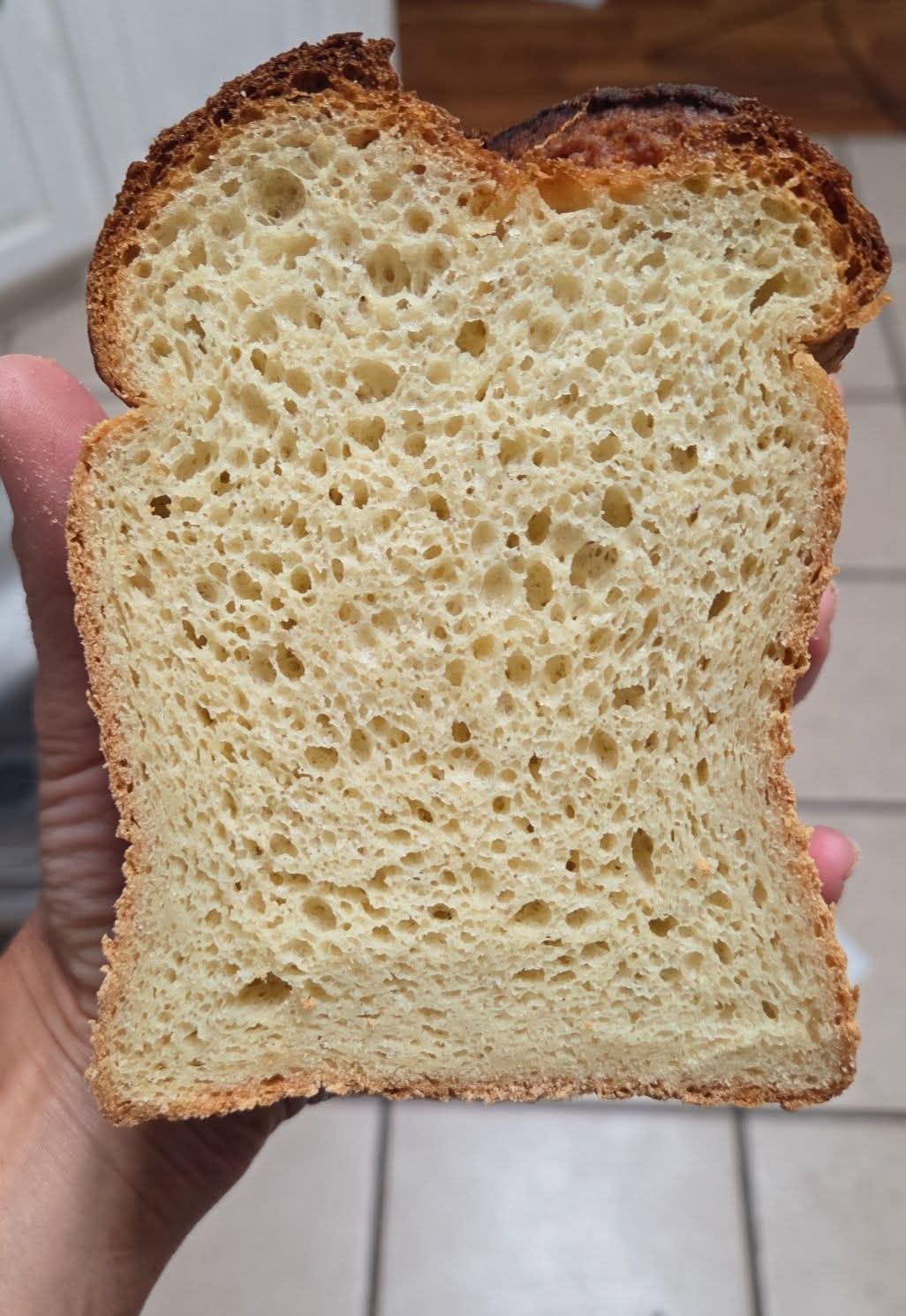 Gluten-Free, Egg-Free, Dairy-Free Sandwich Bread